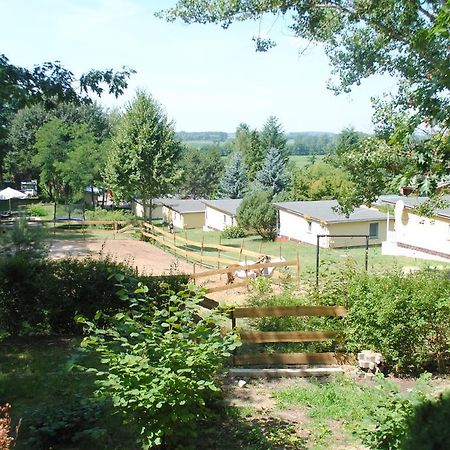 Bungalows Zur Alten Faehre Werder  Quarto foto