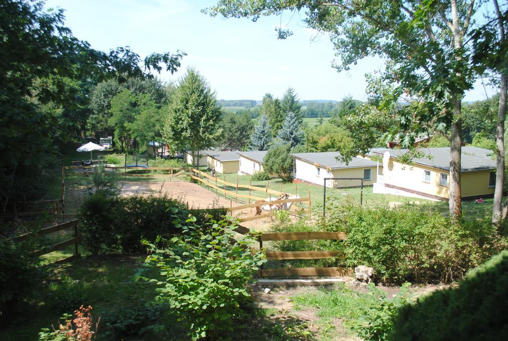 Bungalows Zur Alten Faehre Werder  Quarto foto